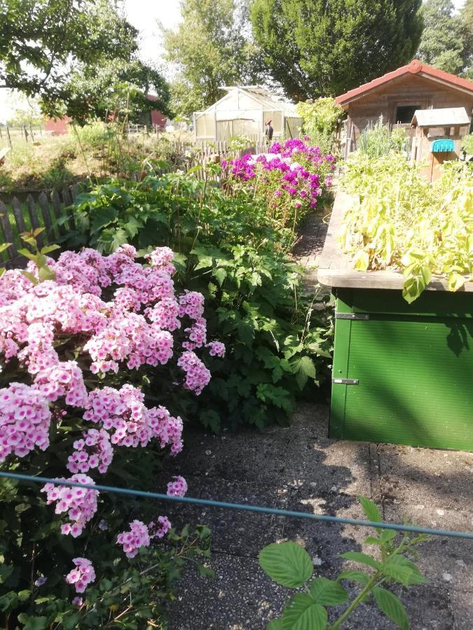 Einzigartige Naturoase im Süden von Ingolstadt Brautlach Exterior foto