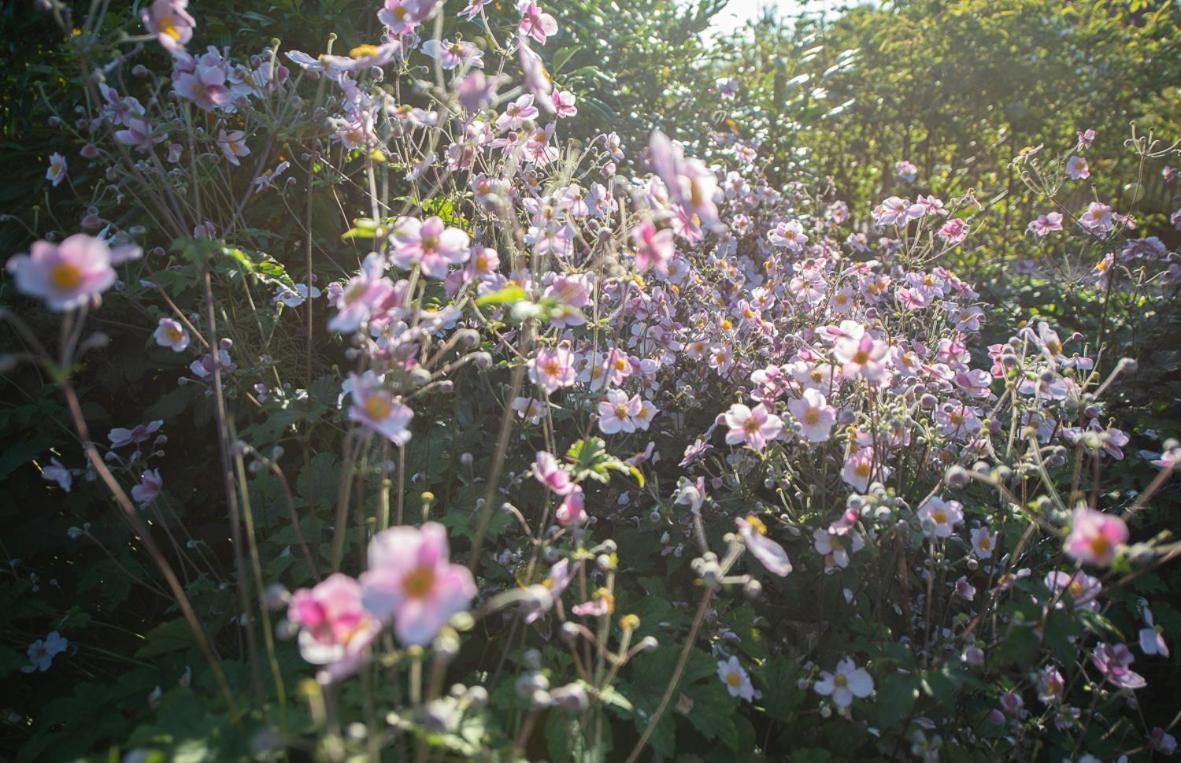 Einzigartige Naturoase im Süden von Ingolstadt Brautlach Exterior foto